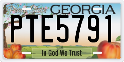 GA license plate PTE5791