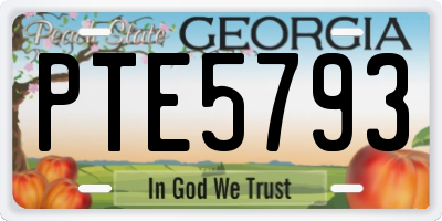 GA license plate PTE5793