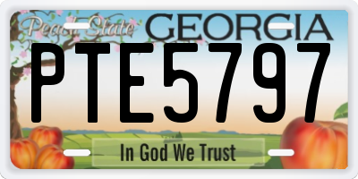 GA license plate PTE5797