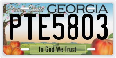 GA license plate PTE5803