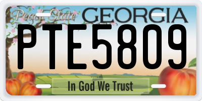 GA license plate PTE5809