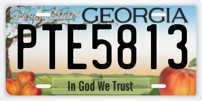 GA license plate PTE5813