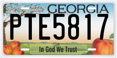 GA license plate PTE5817
