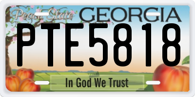 GA license plate PTE5818