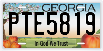 GA license plate PTE5819