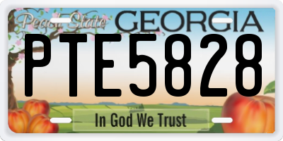 GA license plate PTE5828