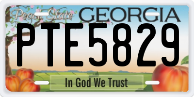 GA license plate PTE5829