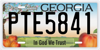 GA license plate PTE5841