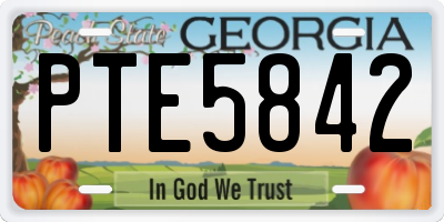 GA license plate PTE5842