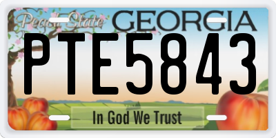 GA license plate PTE5843