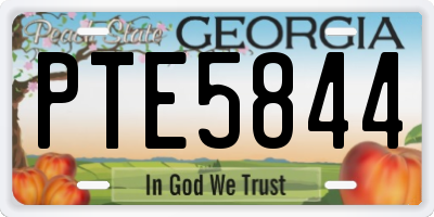 GA license plate PTE5844