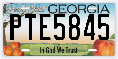 GA license plate PTE5845