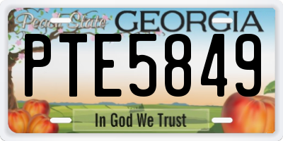 GA license plate PTE5849