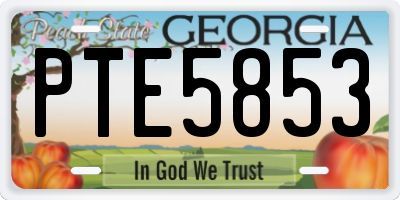 GA license plate PTE5853