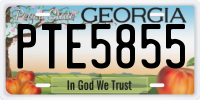GA license plate PTE5855