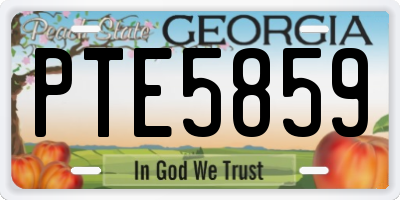 GA license plate PTE5859
