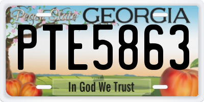 GA license plate PTE5863