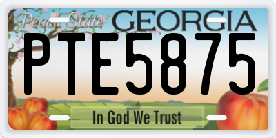 GA license plate PTE5875
