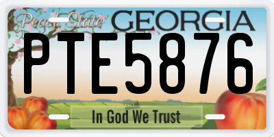 GA license plate PTE5876