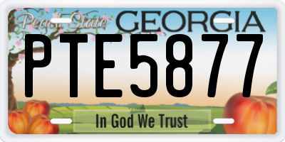 GA license plate PTE5877