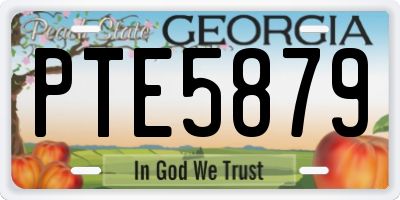 GA license plate PTE5879