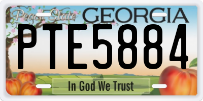 GA license plate PTE5884