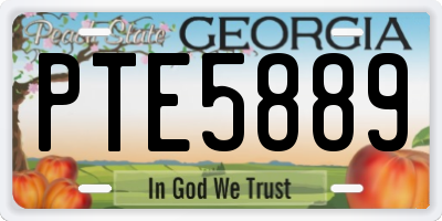 GA license plate PTE5889