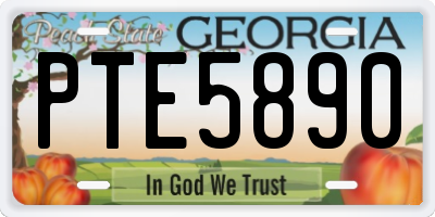 GA license plate PTE5890