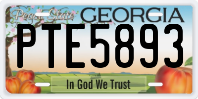 GA license plate PTE5893
