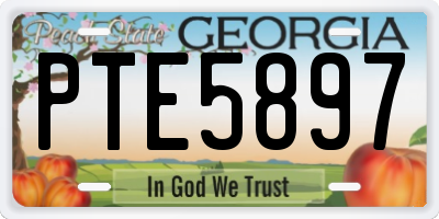 GA license plate PTE5897