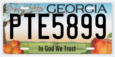 GA license plate PTE5899