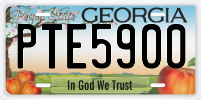 GA license plate PTE5900