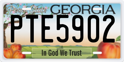 GA license plate PTE5902
