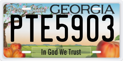GA license plate PTE5903