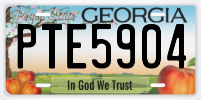 GA license plate PTE5904