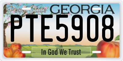 GA license plate PTE5908