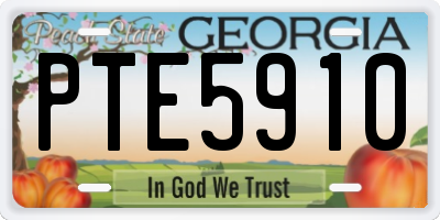 GA license plate PTE5910