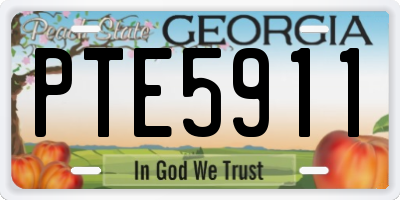 GA license plate PTE5911