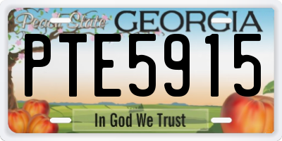 GA license plate PTE5915