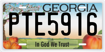 GA license plate PTE5916