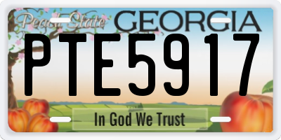 GA license plate PTE5917