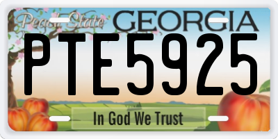 GA license plate PTE5925