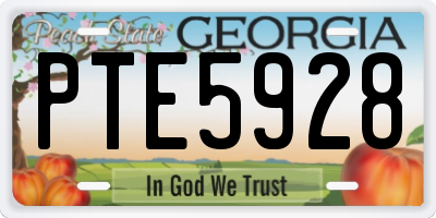 GA license plate PTE5928