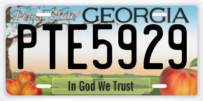 GA license plate PTE5929