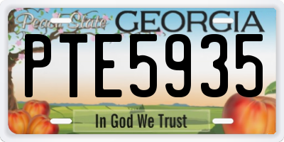 GA license plate PTE5935