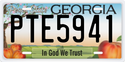 GA license plate PTE5941