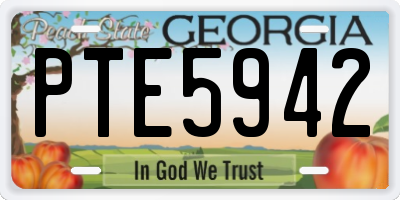 GA license plate PTE5942