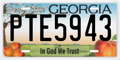GA license plate PTE5943