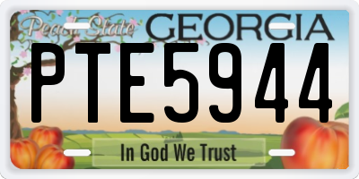 GA license plate PTE5944