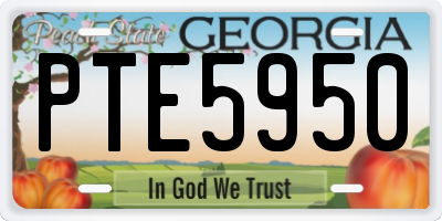GA license plate PTE5950